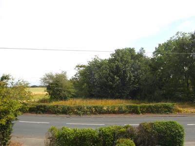 Picture 26